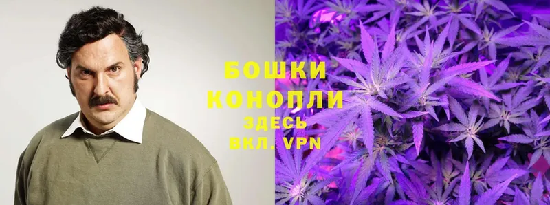 Бошки марихуана THC 21%  где купить наркоту  Вытегра 